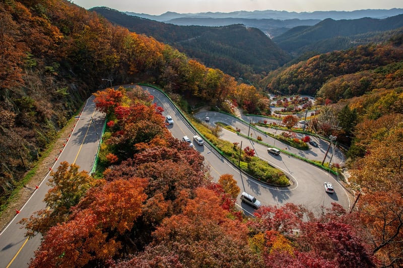 Scenic Landscapes